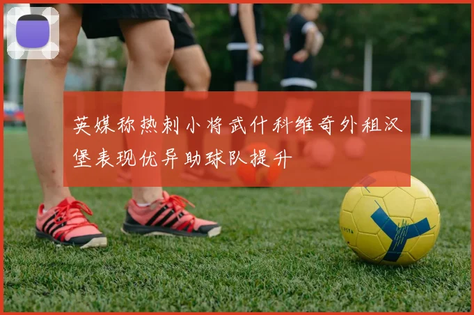 英媒称热刺小将武什科维奇外租汉堡表现优异助球队提升