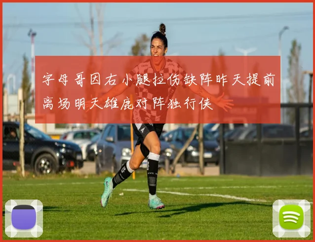 字母哥因右小腿拉伤缺阵昨天提前离场明天雄鹿对阵独行侠