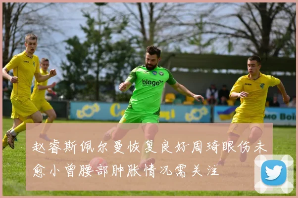 赵睿斯佩尔曼恢复良好周琦眼伤未愈小曾腰部肿胀情况需关注